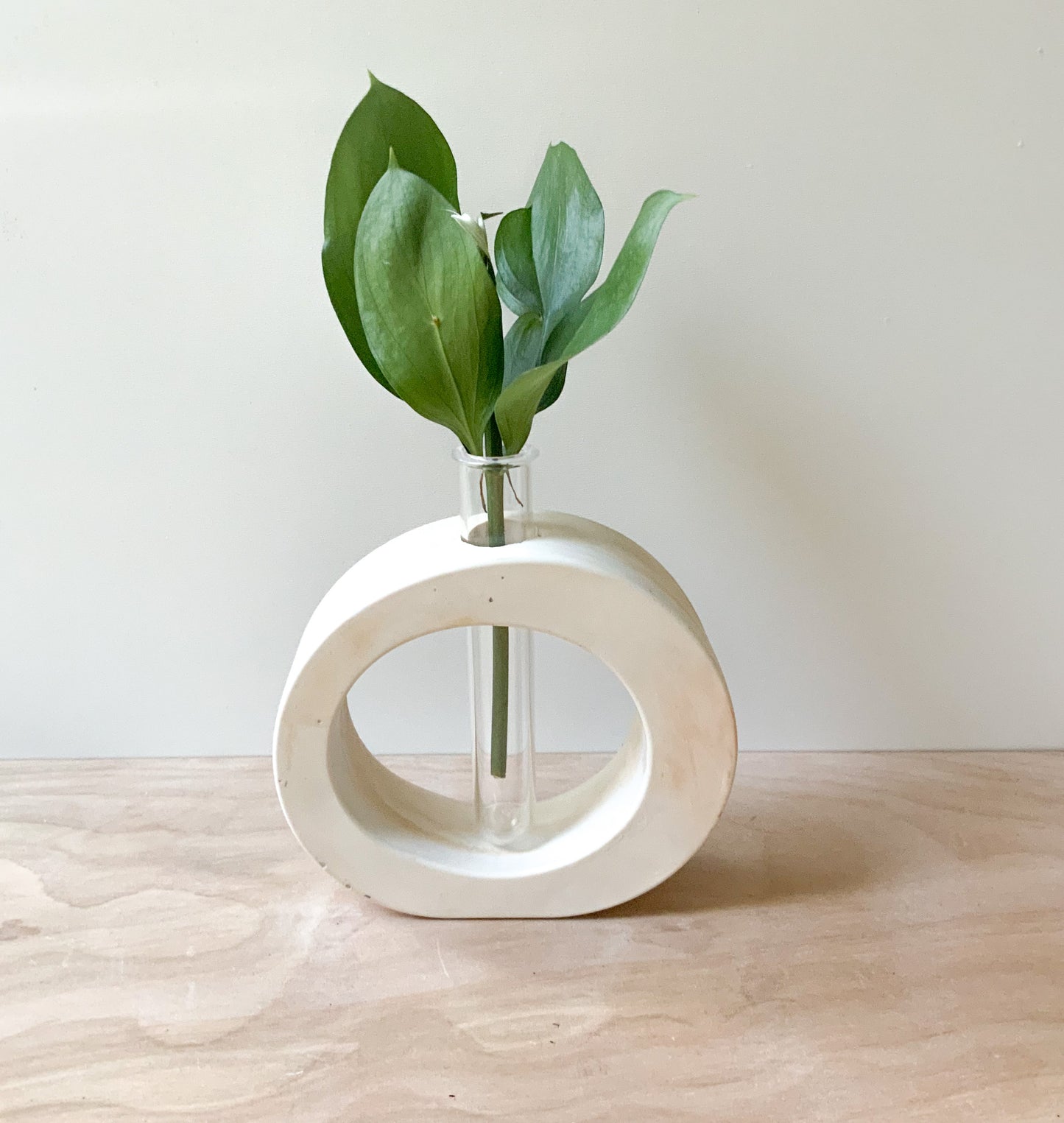 Modern Marble Cement Propagation Vase for Home Decor