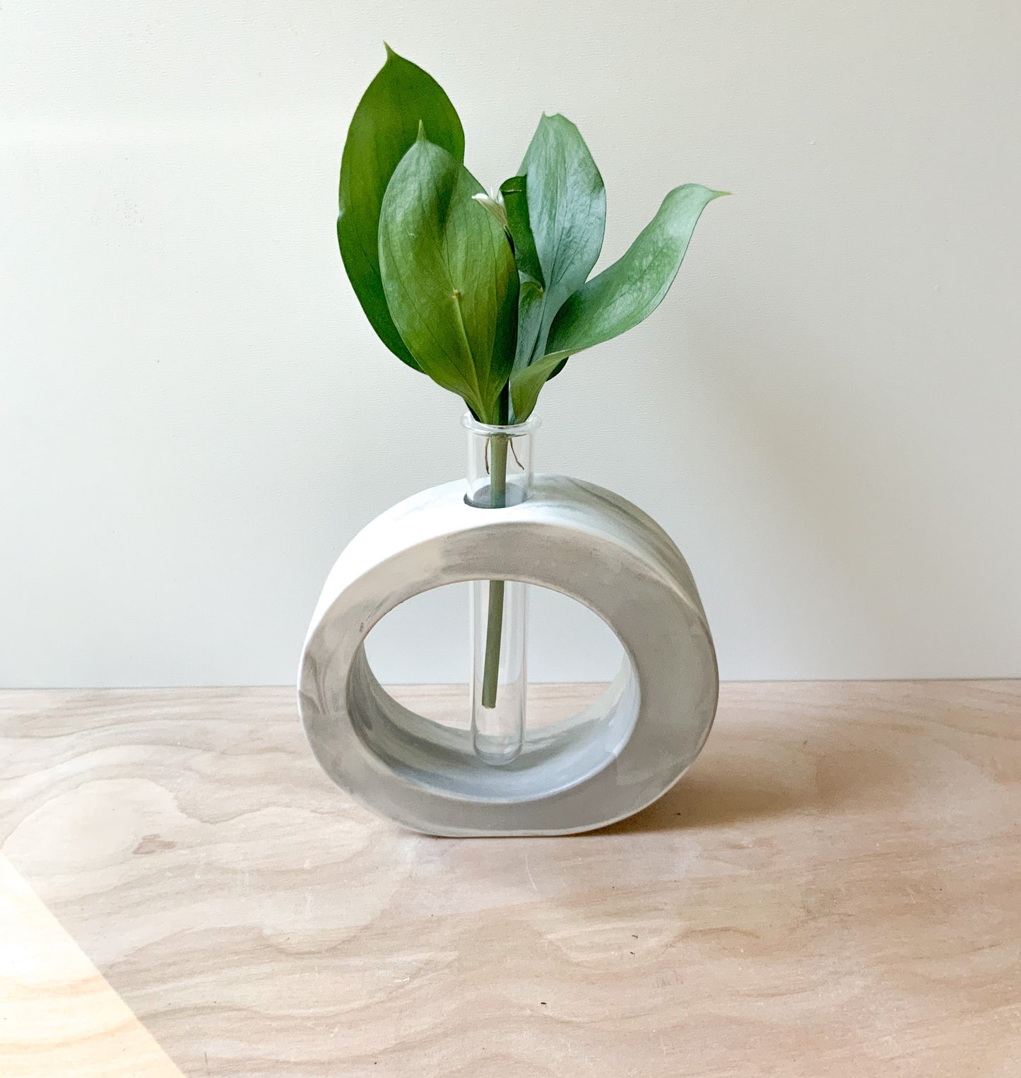Modern Marble Cement Propagation Vase for Home Decor