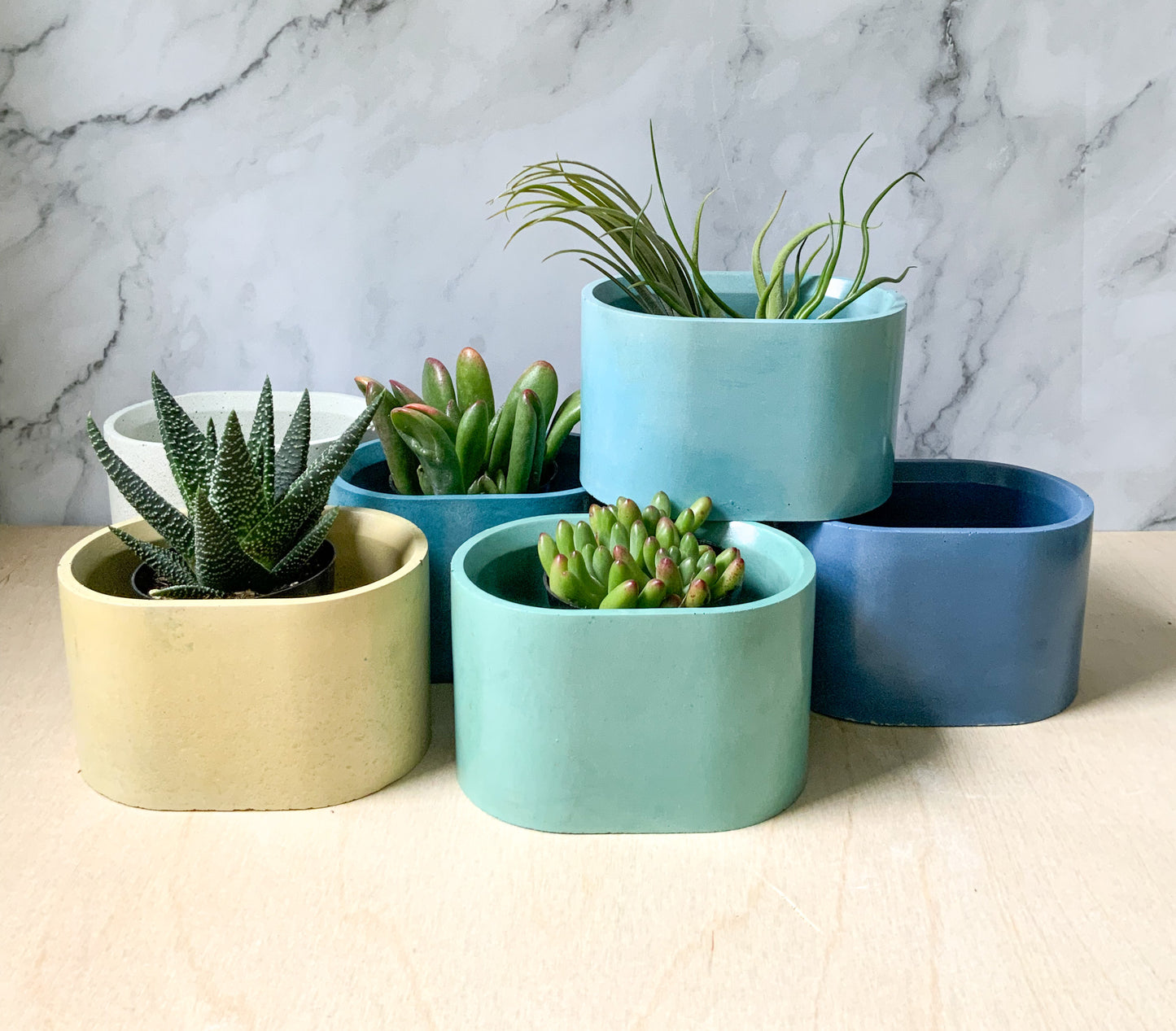 Succulent stone planter