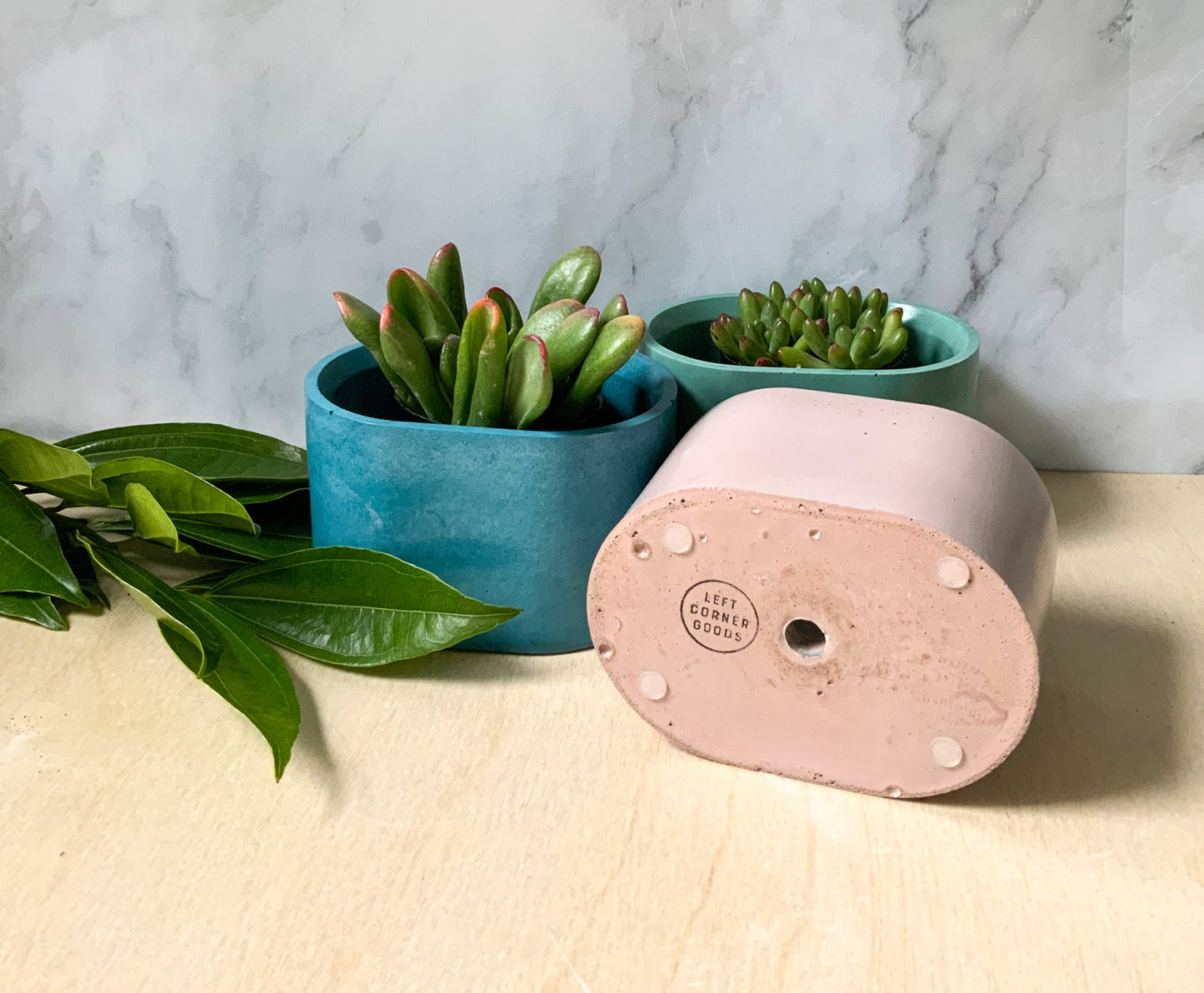 Succulent stone planter