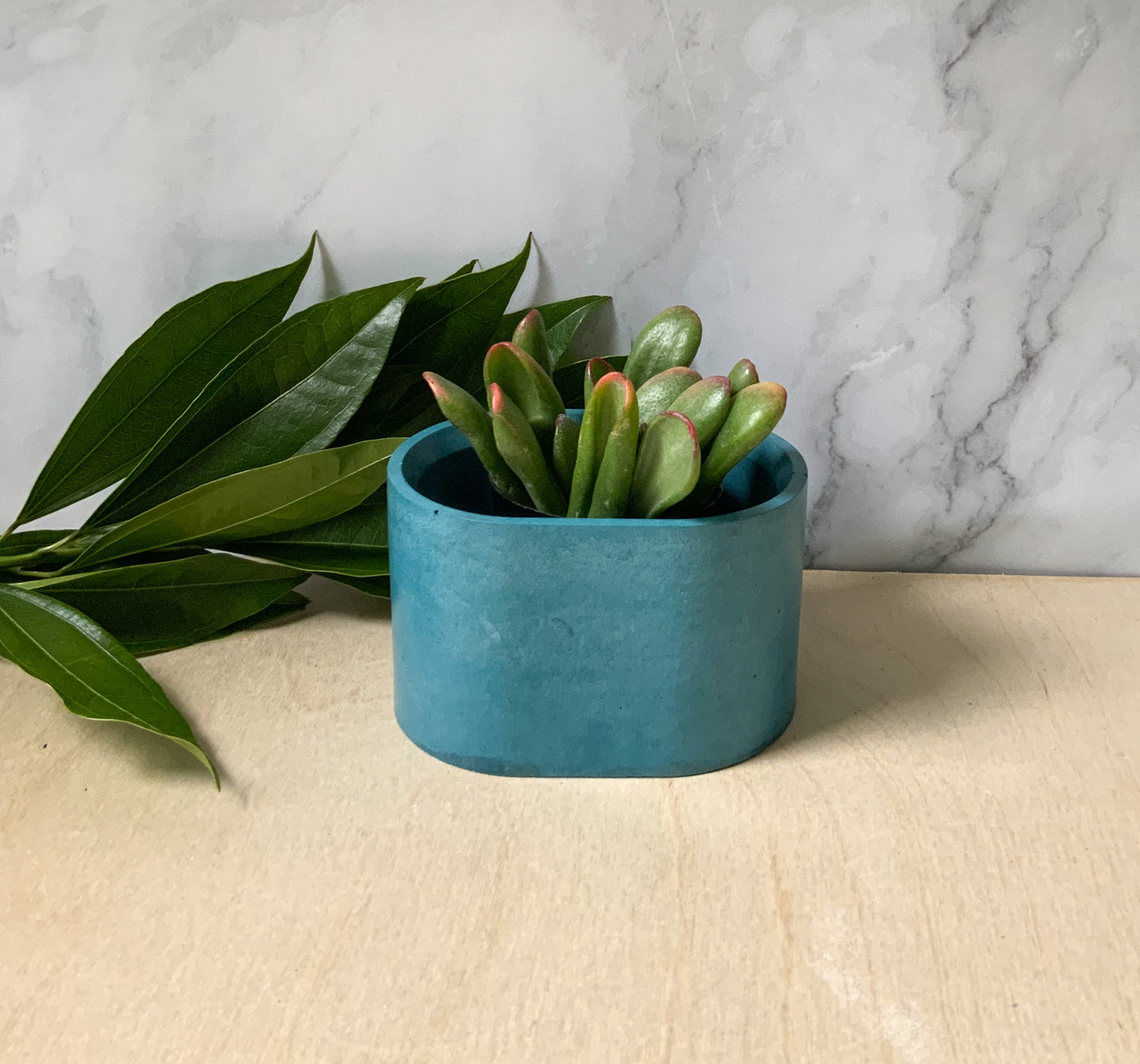 Succulent stone planter