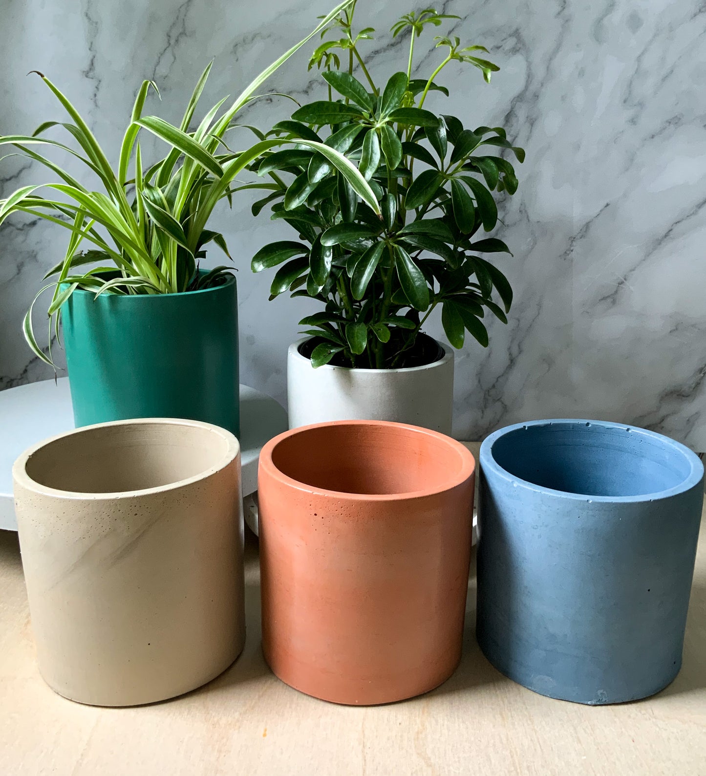 Round Industrial Concrete Handmade Modern Indoor Outdoor Plant Pot