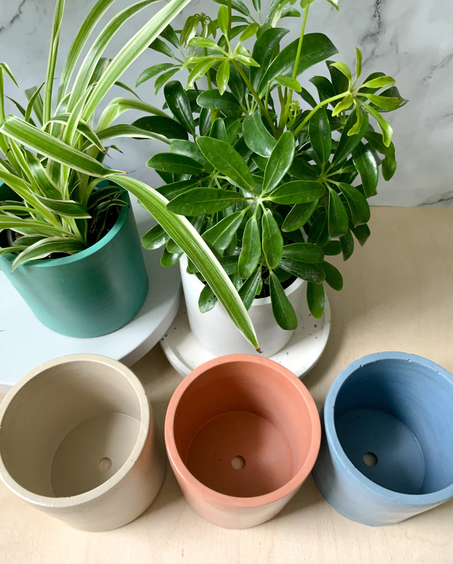Round Industrial Concrete Handmade Modern Indoor Outdoor Plant Pot