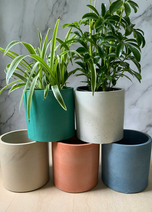 Round Industrial Concrete Handmade Modern Indoor Outdoor Plant Pot