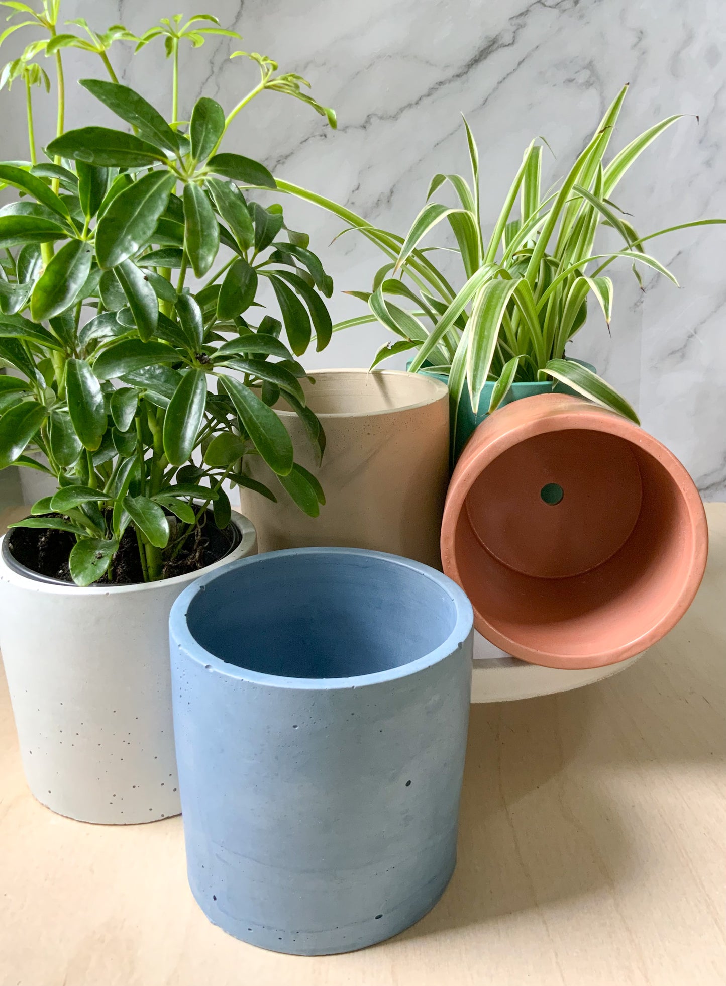 Round Industrial Concrete Handmade Modern Indoor Outdoor Plant Pot