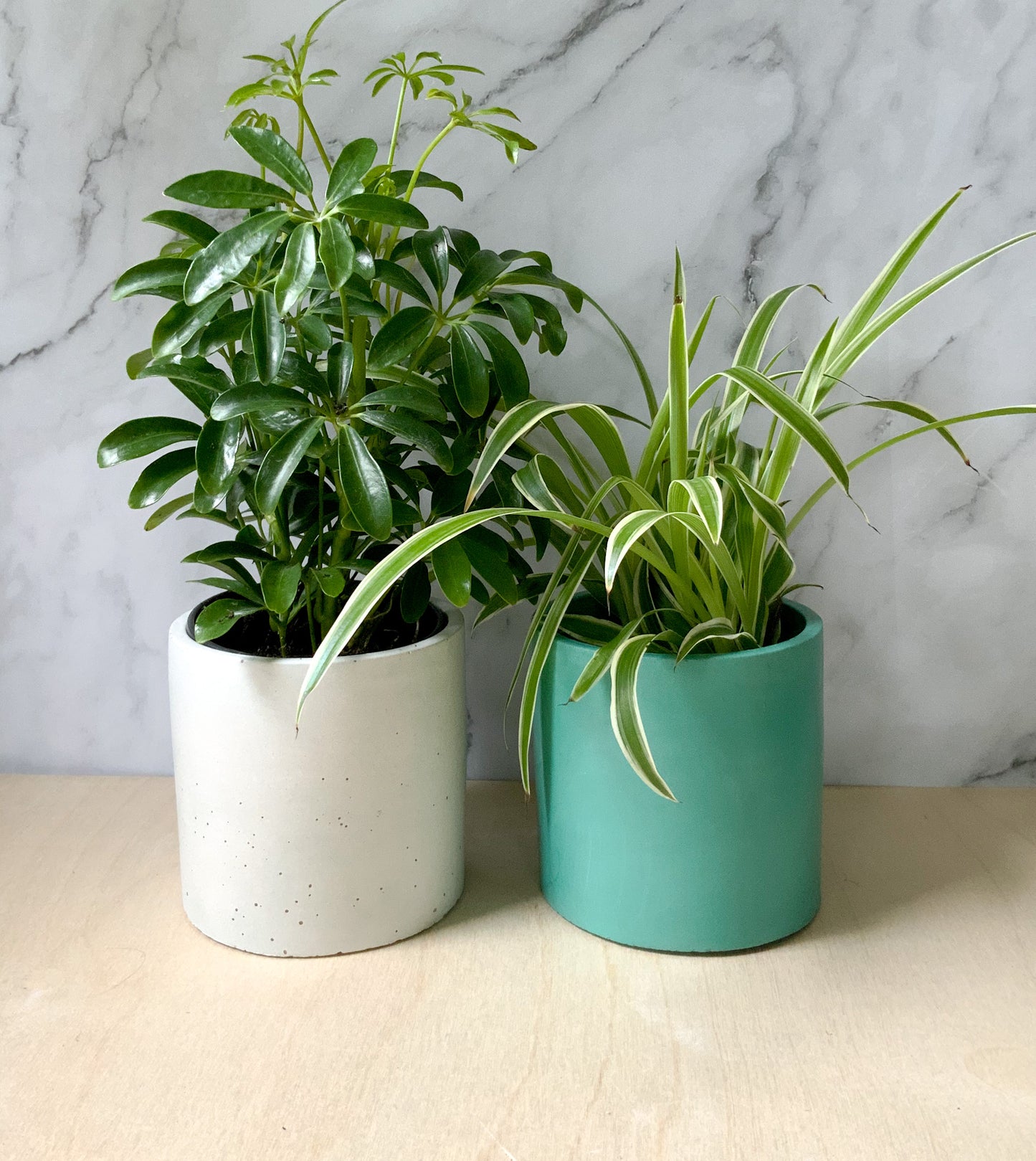 Round Industrial Concrete Handmade Modern Indoor Outdoor Plant Pot