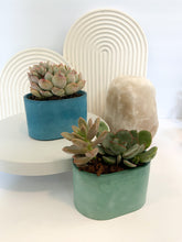 Load image into Gallery viewer, Succulent stone planter
