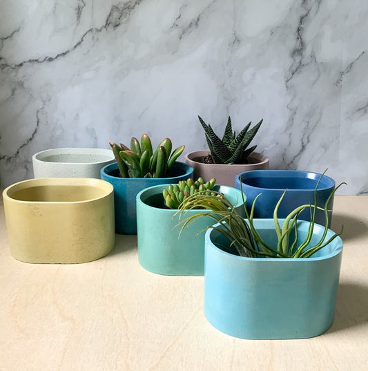 Succulent stone planter