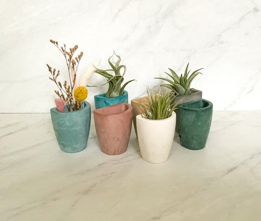 Small Concrete Wall Planter – Minimalist Hanging vase for Air Plants & Dried Flowers