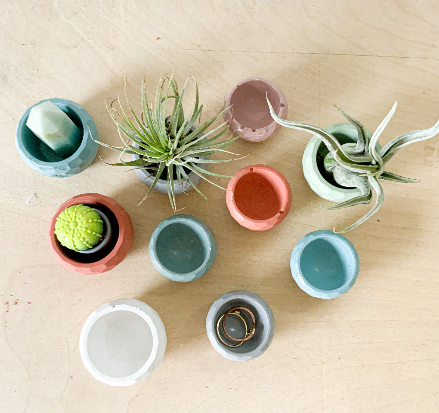 Small Concrete Planter Bowl - Mini Succulent Pot Air Plant Holder Ring Dish Faceted Modern Home Decor Miniature