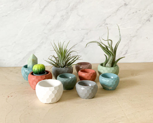 Small Concrete Planter Bowl - Mini Succulent Pot Air Plant Holder Ring Dish Faceted Modern Home Decor Miniature
