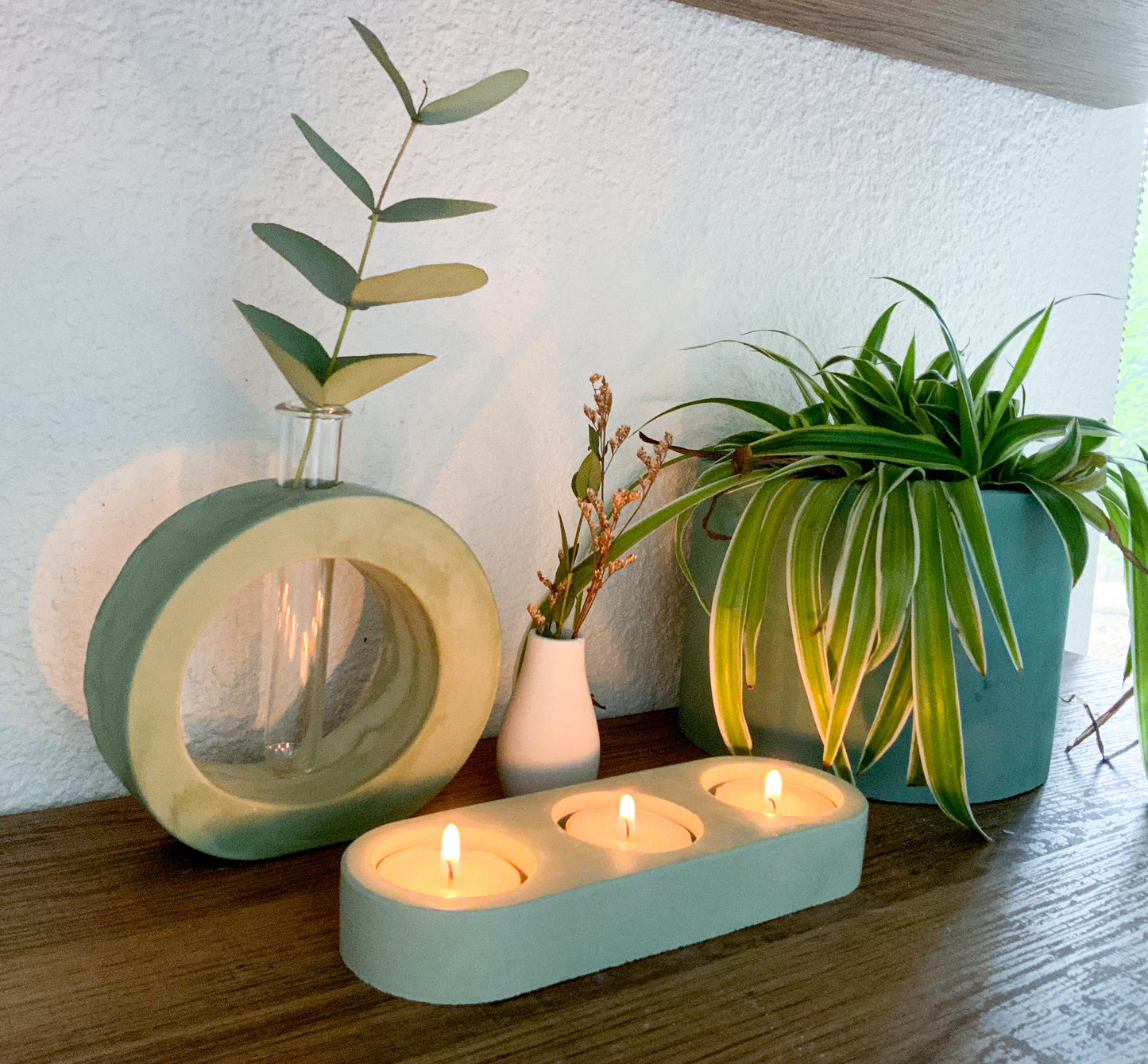 Oval Propagation Station Modern Bud Vase