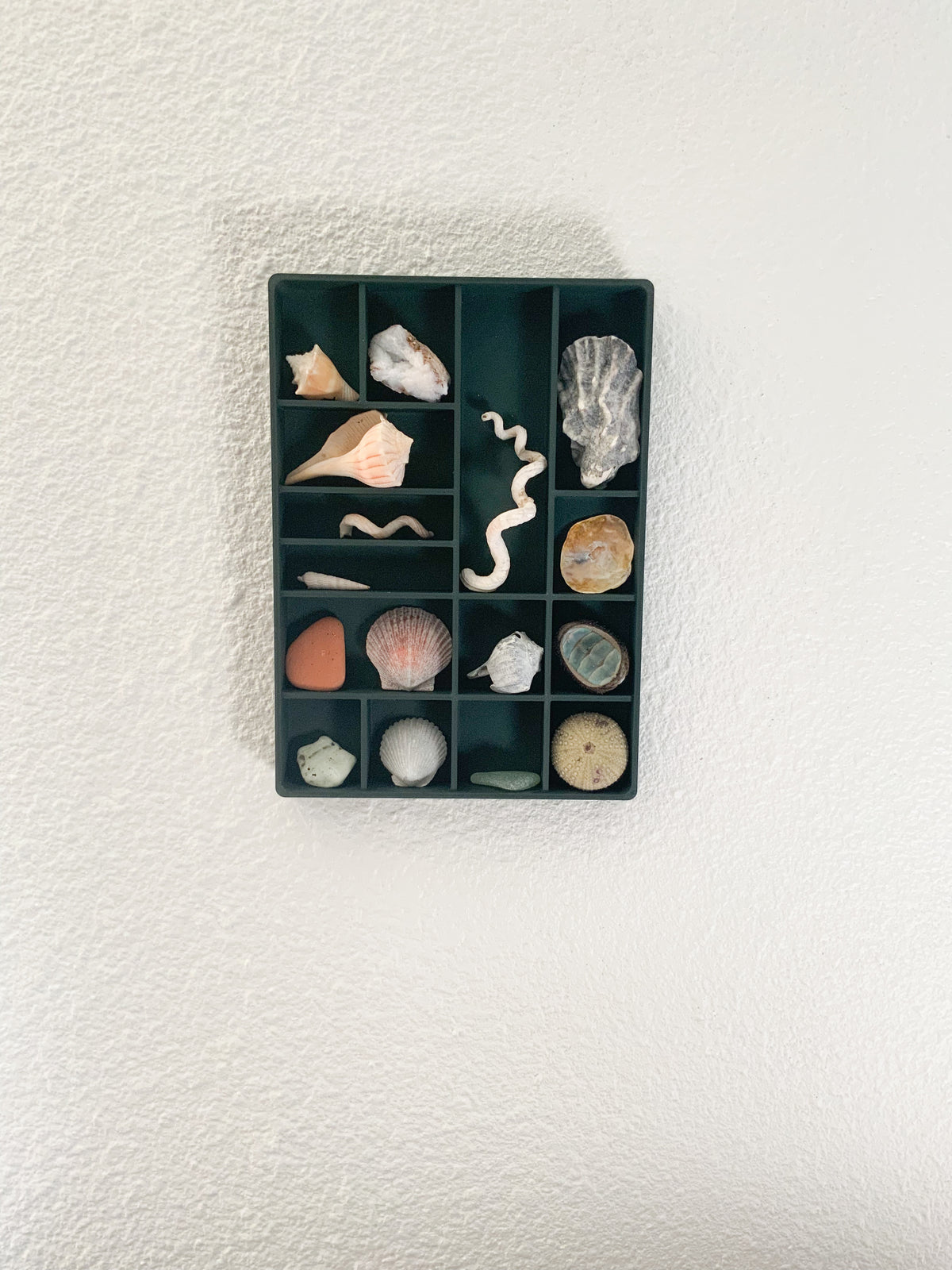 3D Printed Curio Shelf | Miniature Display Shelf for Collectibles | Shadow Box Wall Decor
