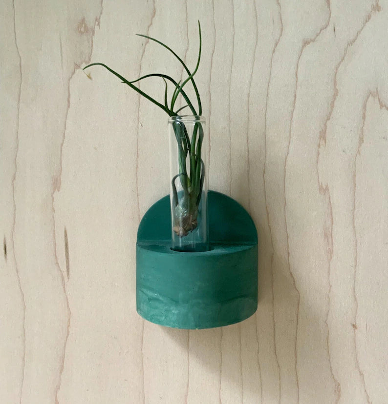 Hanging Bud Vase: Wall Propagation, Table Display, Candle Holder, Boho Arch Sconce