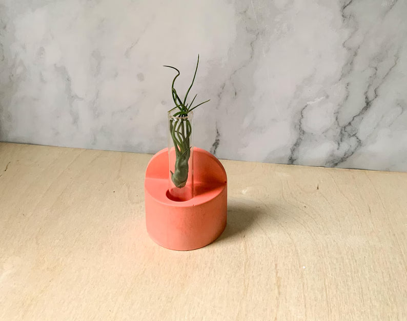 Hanging Bud Vase: Wall Propagation, Table Display, Candle Holder, Boho Arch Sconce